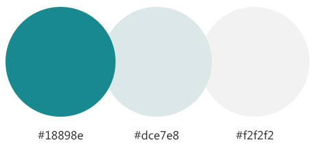 網站建設案例效果圖