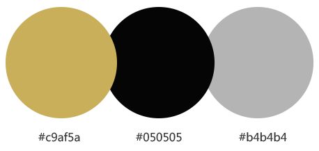 網站建設案例效果圖