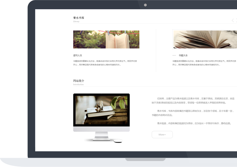網站建設案例效果圖
