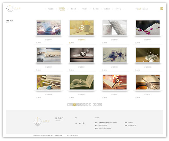 網站建設案例效果圖