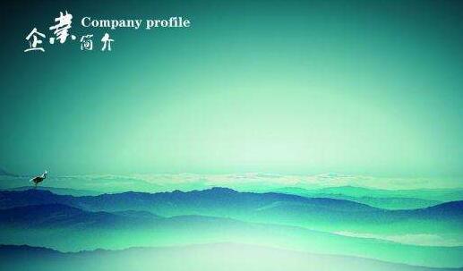 企業(yè)簡(jiǎn)介